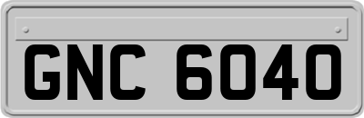 GNC6040