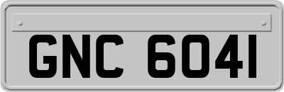 GNC6041