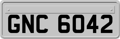 GNC6042