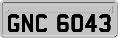 GNC6043