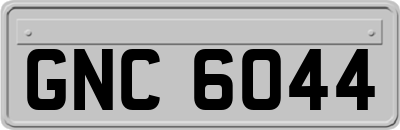 GNC6044