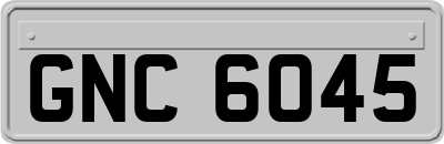 GNC6045