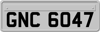 GNC6047