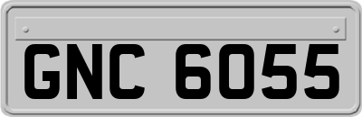 GNC6055