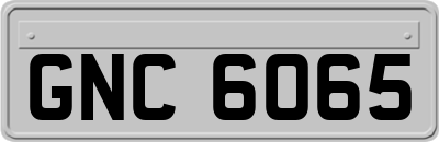 GNC6065