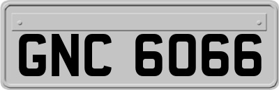 GNC6066