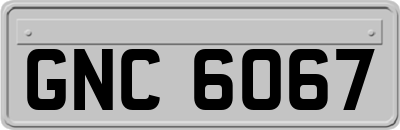 GNC6067