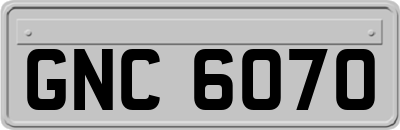 GNC6070
