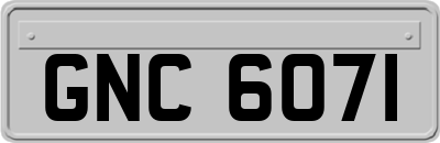 GNC6071
