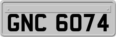 GNC6074