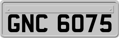 GNC6075