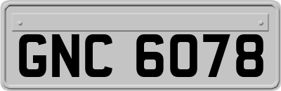 GNC6078