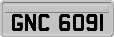 GNC6091