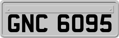 GNC6095