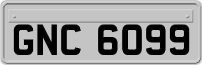 GNC6099