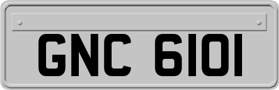 GNC6101
