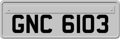 GNC6103