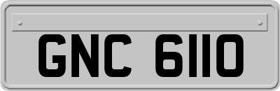 GNC6110
