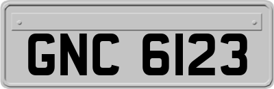 GNC6123