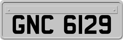 GNC6129