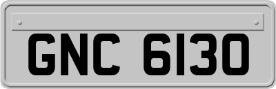 GNC6130