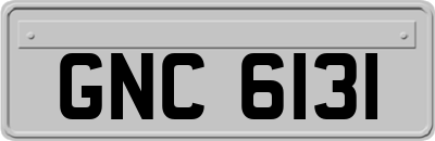 GNC6131