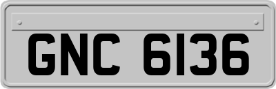GNC6136