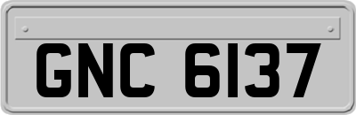 GNC6137