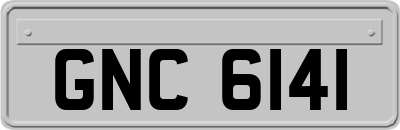GNC6141