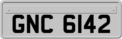 GNC6142