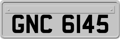 GNC6145