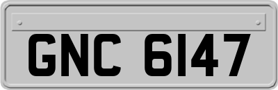 GNC6147