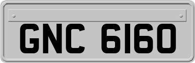 GNC6160