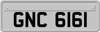 GNC6161