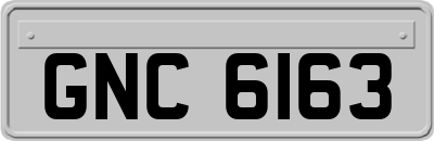 GNC6163