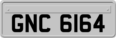 GNC6164