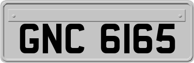 GNC6165