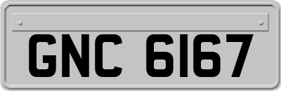 GNC6167