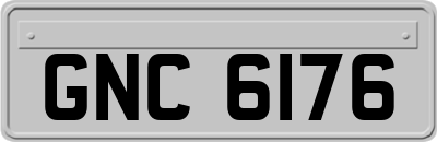 GNC6176