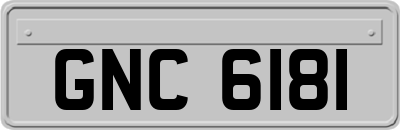 GNC6181