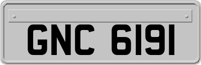 GNC6191