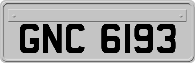 GNC6193