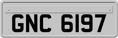 GNC6197