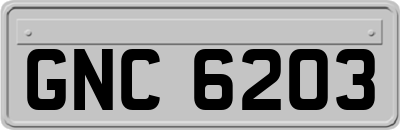 GNC6203