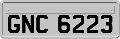 GNC6223