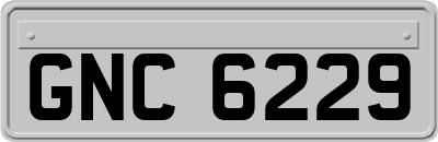 GNC6229