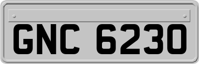 GNC6230