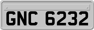 GNC6232