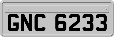 GNC6233