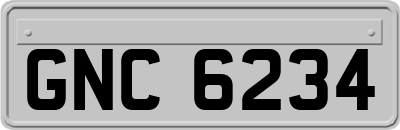 GNC6234